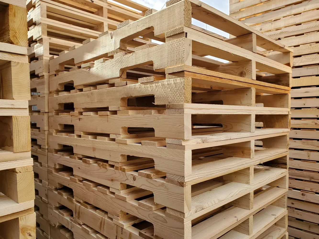 Wooden Pallet Cost The Global Consequences